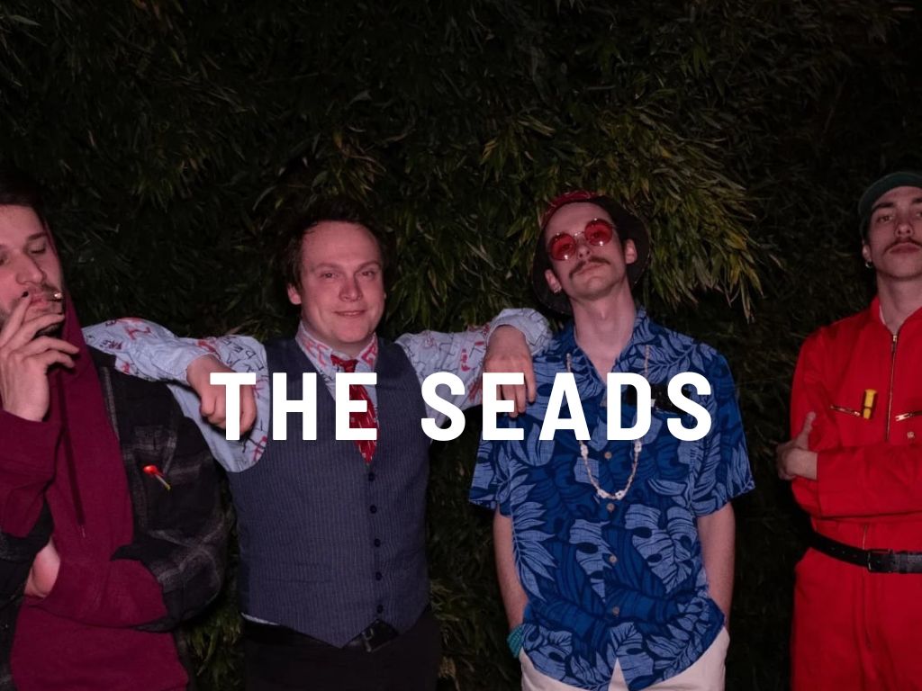 THE SEADS 22 août - visite musicale